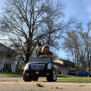 Meet your Posher, Mariah